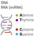 Εμβιοδιαγνωστική DNA